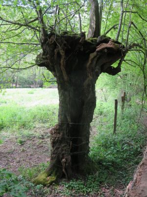 Photo prise liée au parcours