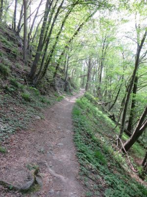 Photo prise liée au parcours