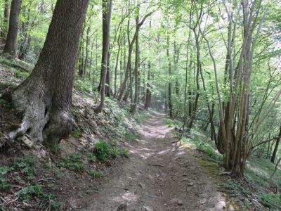 Photo prise liée au parcours