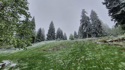 Les Prés de la Montagne (court)