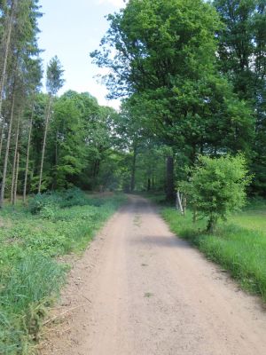 Photo prise liée au parcours