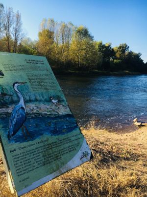 Balbigny au fil de l'eau à vélo