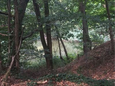 Les filons de l’argile 