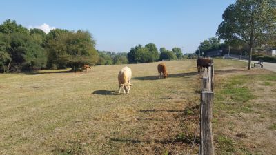 Chemin des sources - Lyon - Photo 2