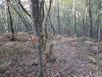 14_La Sabliere de Laugey_9km - Martignas-sur-Jalle - Photo 5