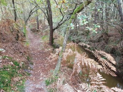 14_La Sabliere de Laugey_9km - Martignas-sur-Jalle - Photo 8