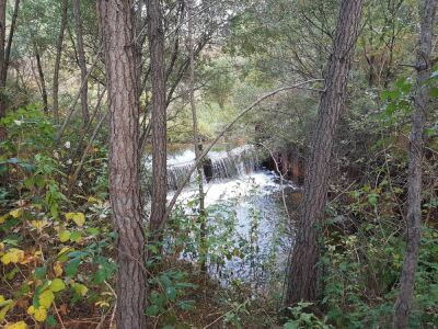 14_La Sabliere de Laugey_9km - Martignas-sur-Jalle - Photo 9