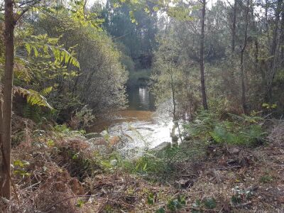 14_La Sabliere de Laugey_9km - Martignas-sur-Jalle - Photo 10