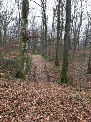 Photo prise liée au parcours