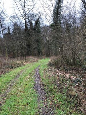 Photo prise liée au parcours