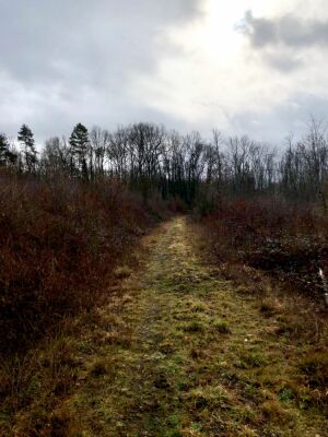 Photo prise liée au parcours