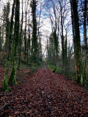 Photo prise liée au parcours