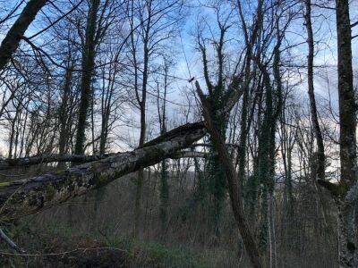 Photo prise liée au parcours