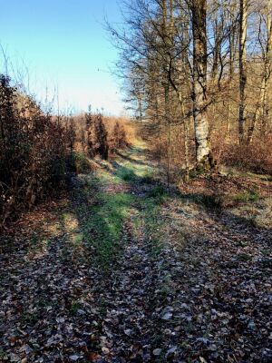 Photo prise liée au parcours