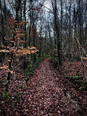 Photo prise liée au parcours