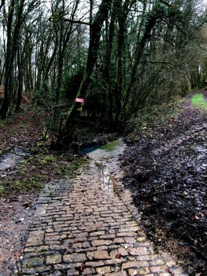 Photo prise liée au parcours