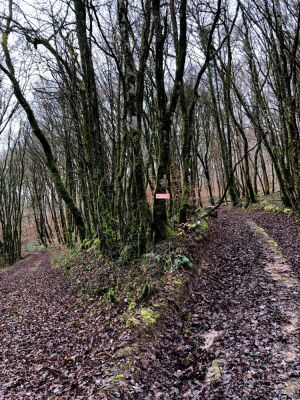 Photo prise liée au parcours