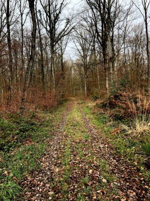 Photo prise liée au parcours