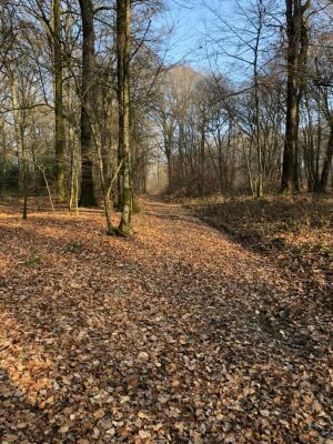 Photo prise liée au parcours