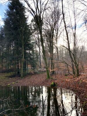 Photo prise liée au parcours