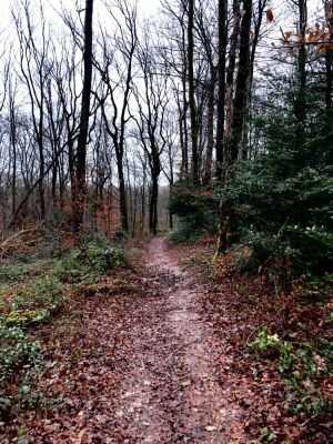Photo prise liée au parcours