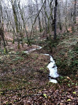 Photo prise liée au parcours