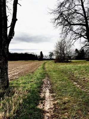 Photo prise liée au parcours