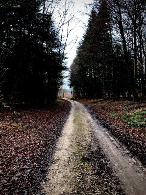 Photo prise liée au parcours