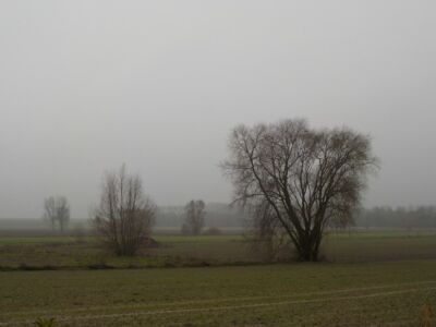 Wicres 1 - Wicres - Photo 1