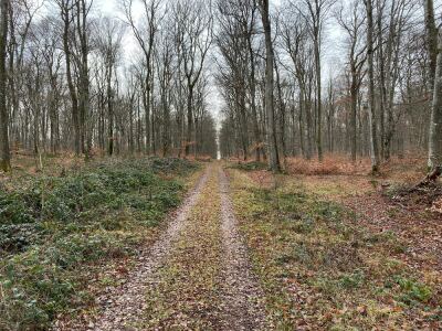 PBX-La Croix des Bois 1 - Coutansouze - Auvergne 