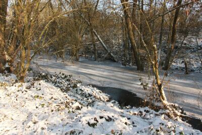 Harchies - Les marais - 10 kms - Harchies - Photo 6