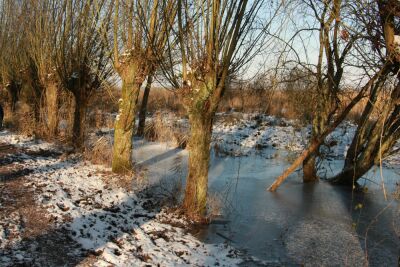 Harchies - Les marais - 10 kms - Harchies - Photo 7