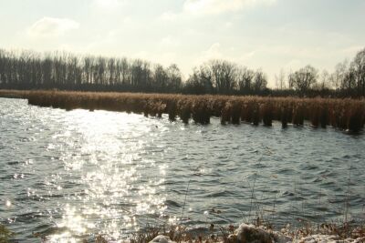 Harchies - Les marais - 10 kms - Harchies - Photo 8