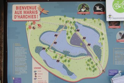 Harchies - Les marais - 10 kms - Harchies - Photo 10