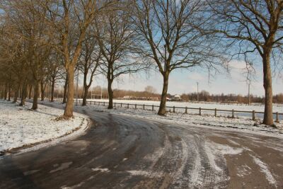 Harchies - Les marais - 10 kms - Harchies - Photo 13