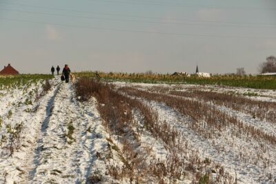 Harchies - Les marais - 10 kms - Harchies - Photo 15