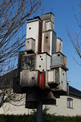 Flenu-20231217 - Mons - Photo 48