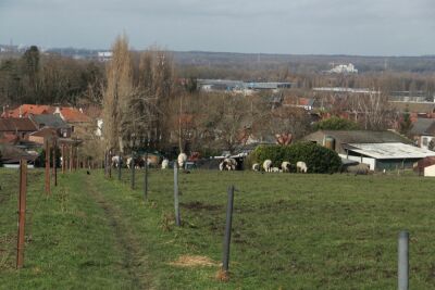 Flenu-20231217 - Mons - Photo 60