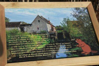 Thuin - Biesmes-sous-thuin - Thuin - Photo 20