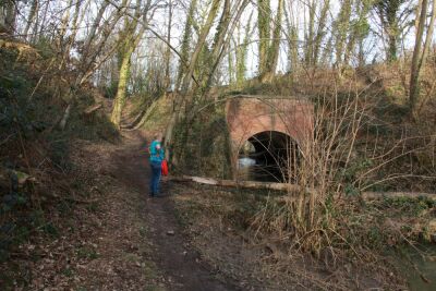 Thuin - Biesmes-sous-thuin - Thuin - Photo 33