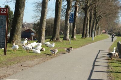 Thieu - Les ascenseurs - Thieu - Photo 24