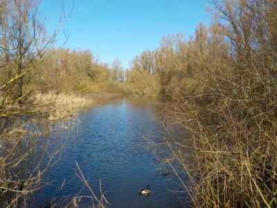 Santes - Santes - Photo 3