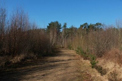 Hautrages - Mer de sable - Saint-Ghislain - Photo 13