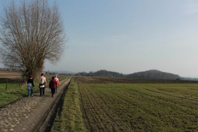 Sars-la-bruyère - Genly - 10 kms - Frameries - Photo 8