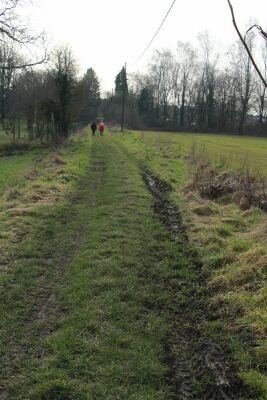 Sars-la-bruyère - Genly - 10 kms - Frameries - Photo 10