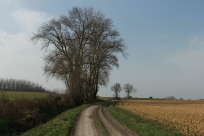 Sars-la-bruyère - Genly - 10 kms - Frameries - Photo 16