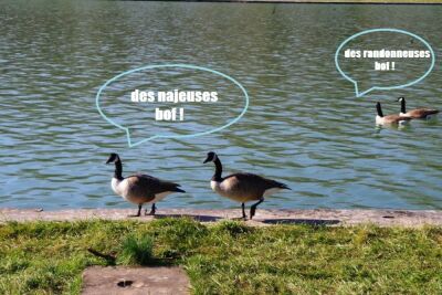 Photo prise liée au parcours