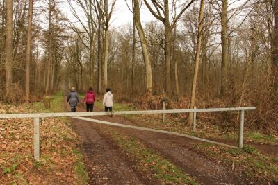 Stambruges - Les Ecacheries - Stambruges - Photo 9
