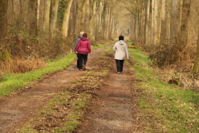 Stambruges - Les Ecacheries - Stambruges - Photo 10