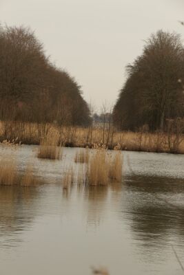 Stambruges - Les Ecacheries - Stambruges - Photo 13